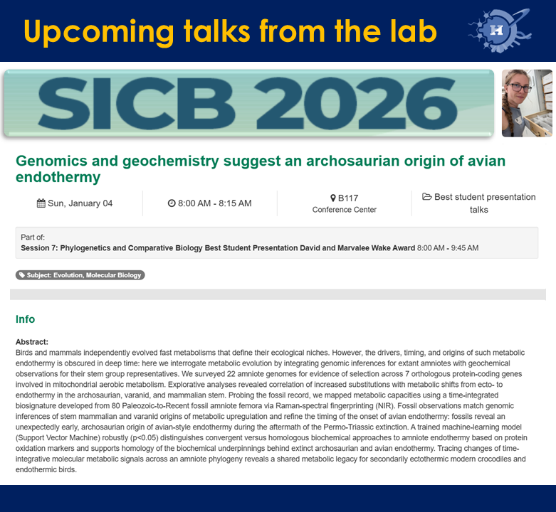 Hopkins_PaLEO's tweet photo. When and how did avian-style endothermy evolve? In #dinosaurs, or #archosaurs, or even archosauromorphs? Merging genomics and #geochemistry provides new phylogenetic, temporal, and mechanistic constraints!

Join us tomorrow [#SICB] at 8 am for Megan's ground-breaking new data! https://t.co/gNeN4msaAo