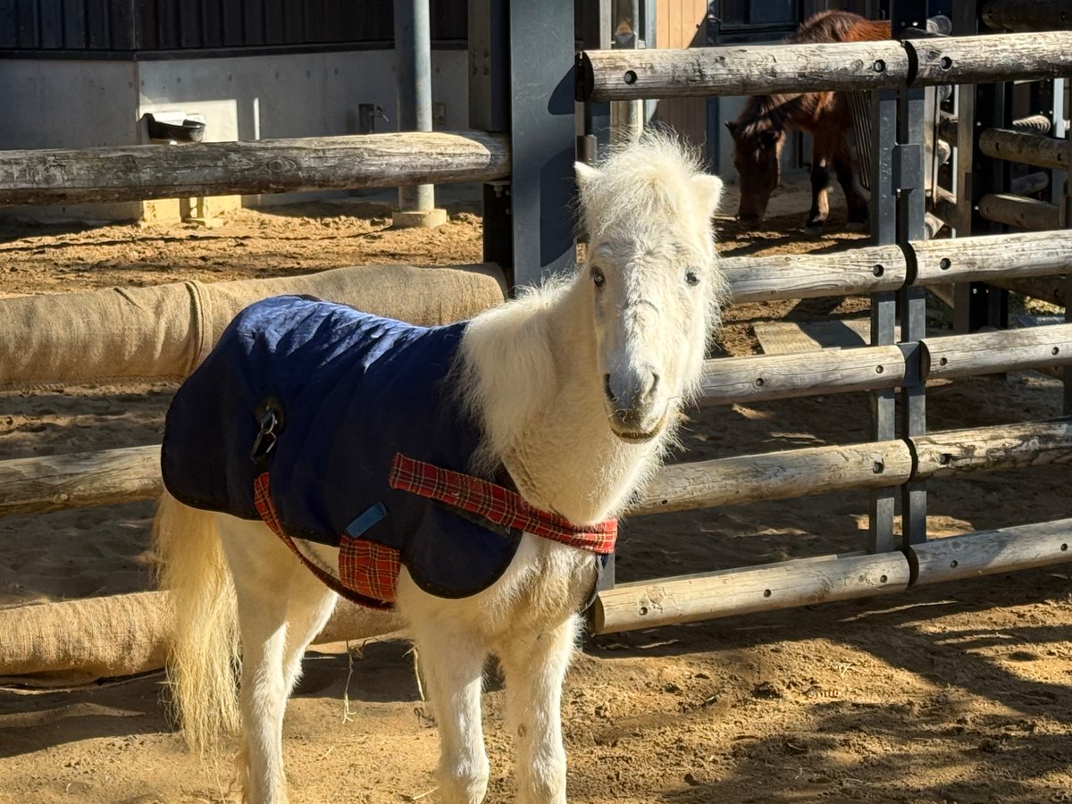 お昼寝💤してたけど、
起きてくれたエリカ様💕

2026/01/04