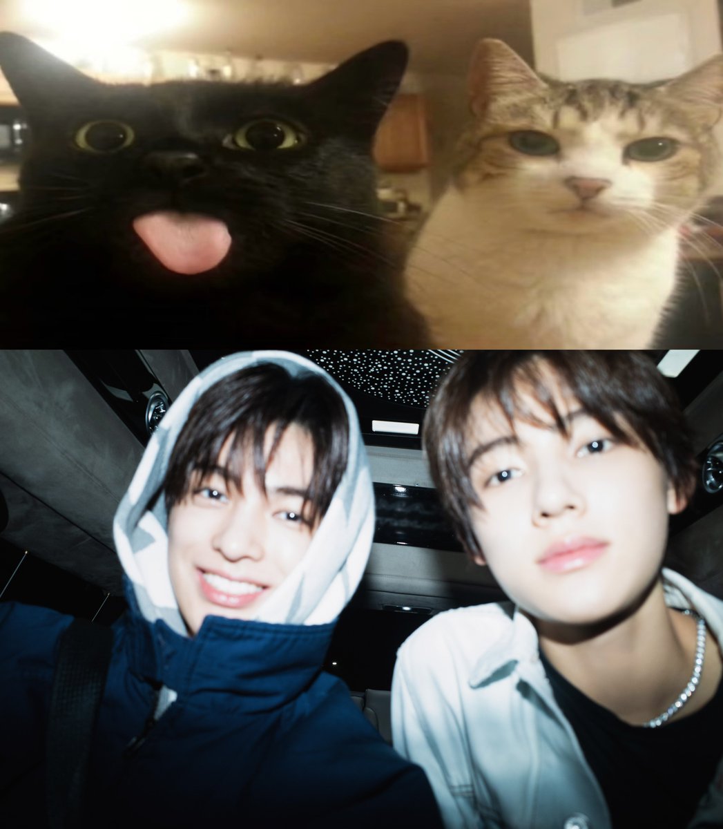 Hot &amp; Cold 이거 완전 낭셩야 ><