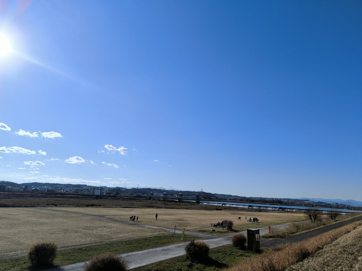 フェルト tweet media