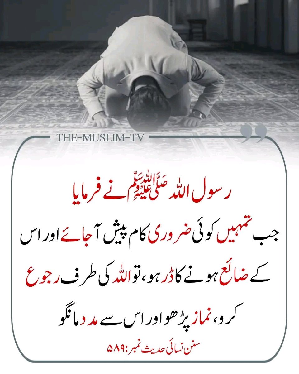 __SZ22's tweet image. ارشاد نبوی ﷺ