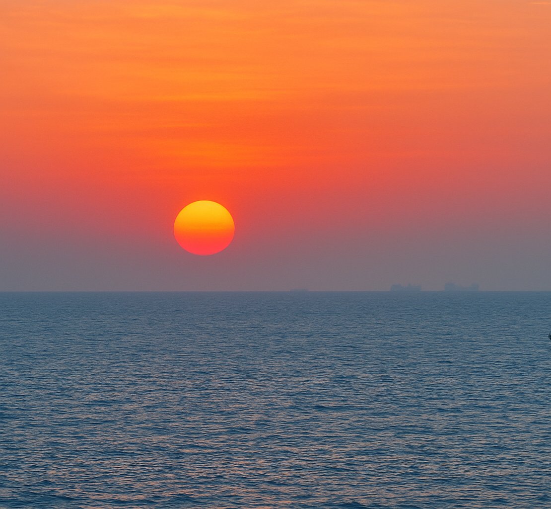 فرید الحسن tweet media