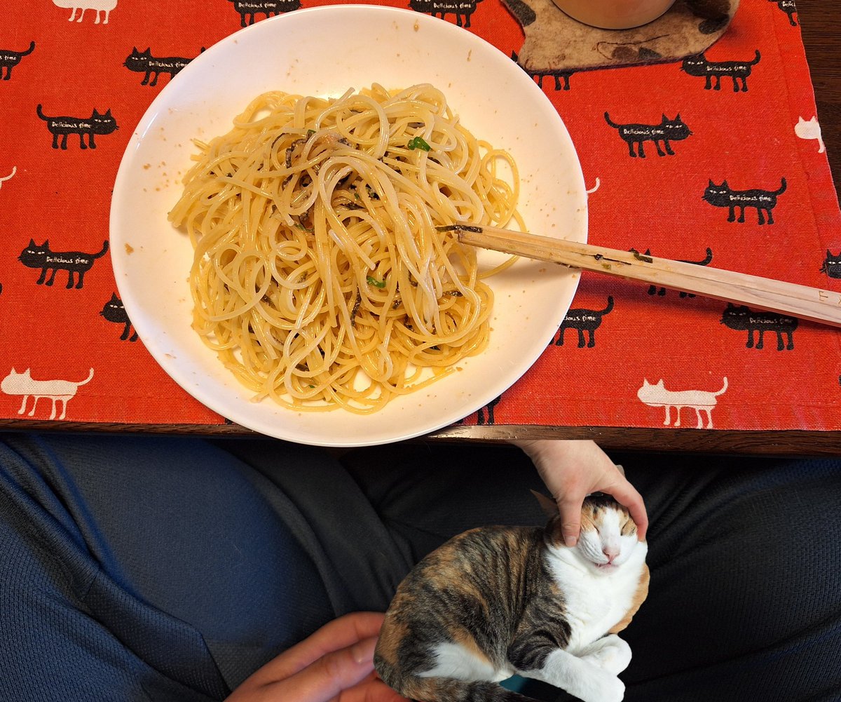 kawaii_nekoniko's tweet image. 明太子パスタたべました
(ねこお昼寝時間でした)