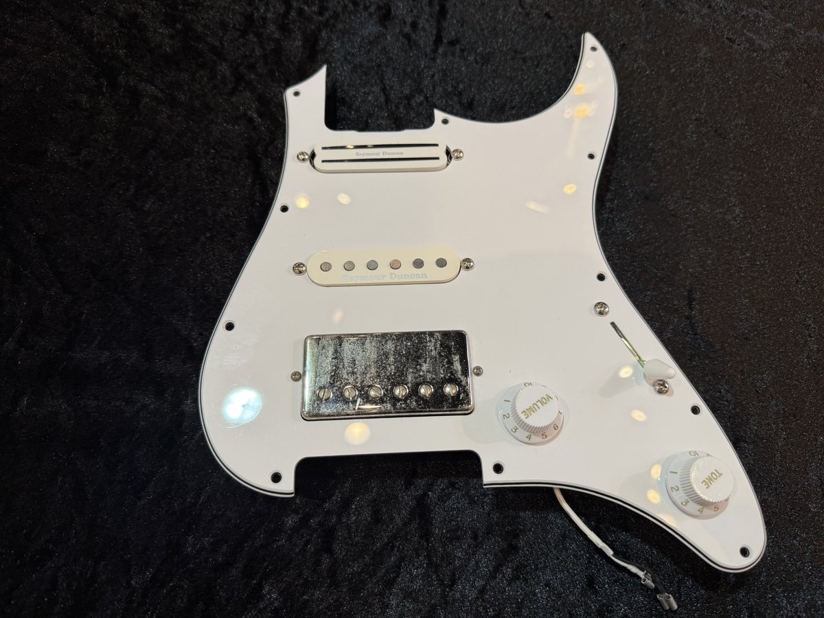 現物見て、ちょっと欲しくなってしまったけど我慢した(たぶん