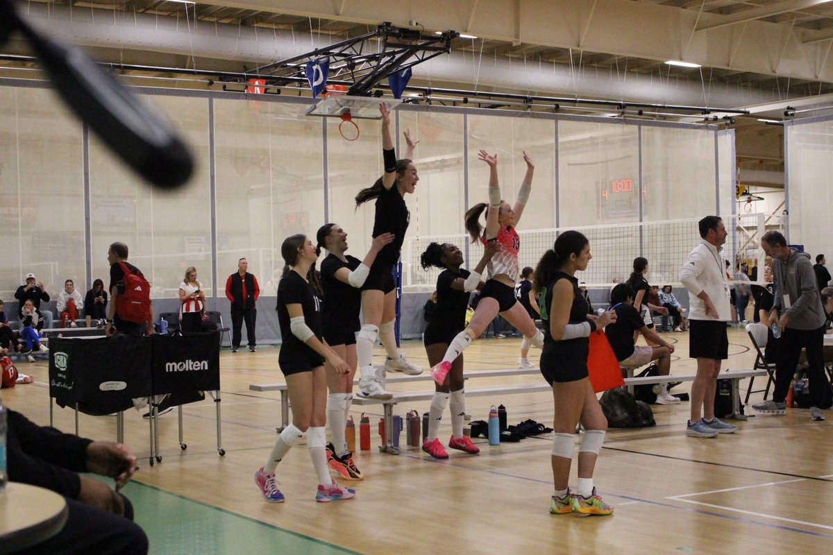 SHOCKWAVE Volleyball tweet media