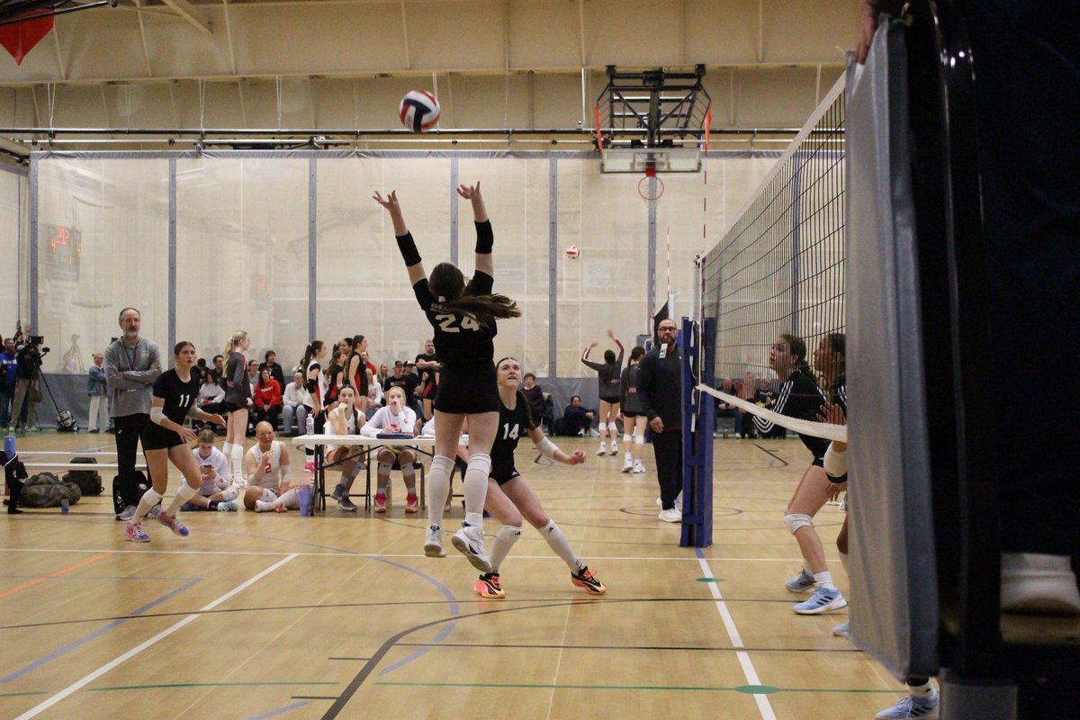 SHOCKWAVE Volleyball tweet media