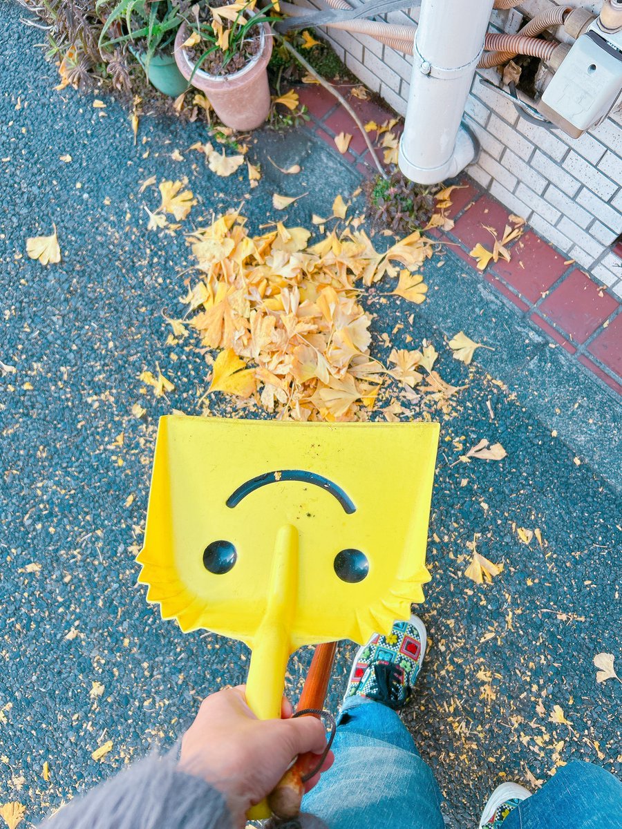 ひたすら落ち葉掃き🍂