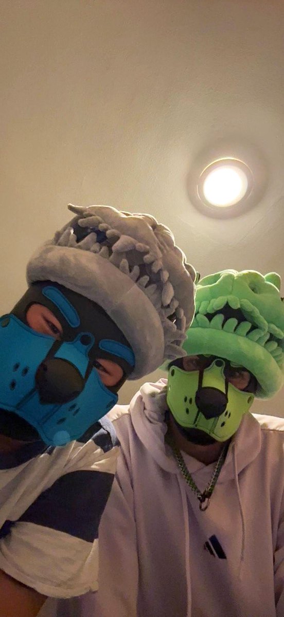 Vozz_pup's tweet photo. Dude, I miss the midwest already. I had so much fun hanging with yall this past week, and can't thank you enough for it. For all those I got a chance to hang out with, thank you. Special thanks to: @mauBishop49, @SkyFluffyDurski, and @thunder_221 for hosting me this week 💚 https://t.co/NhaLBLzGLv