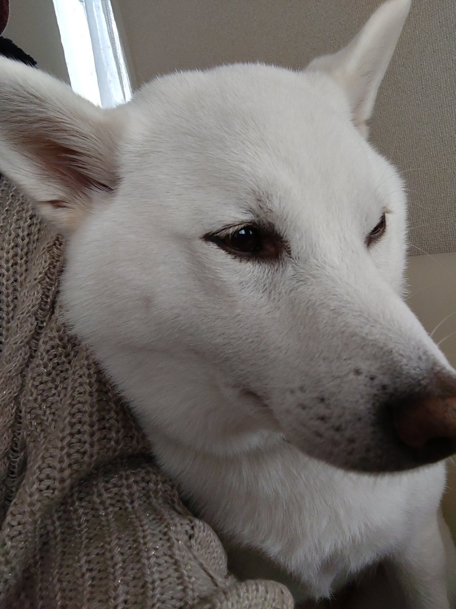 水瓶座♒️ちろ (@xYWsDRmcZE9m1g7) / Posts / X