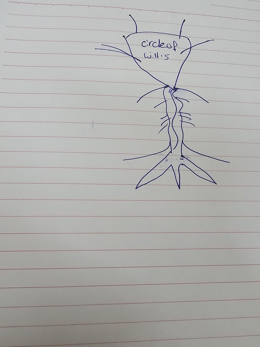 فى امل انجح ولا ايه