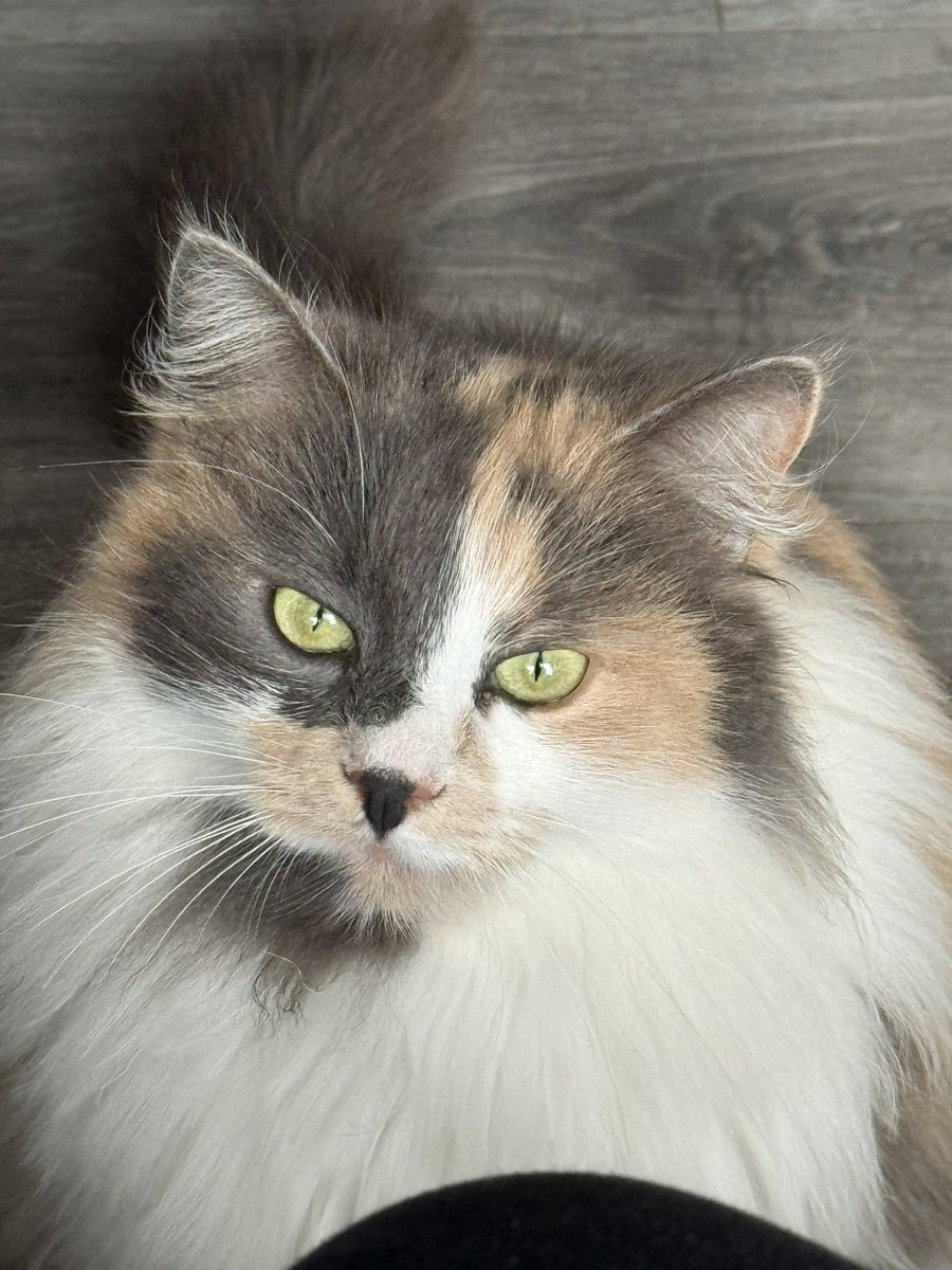 onezamkad's tweet image. Это Люся