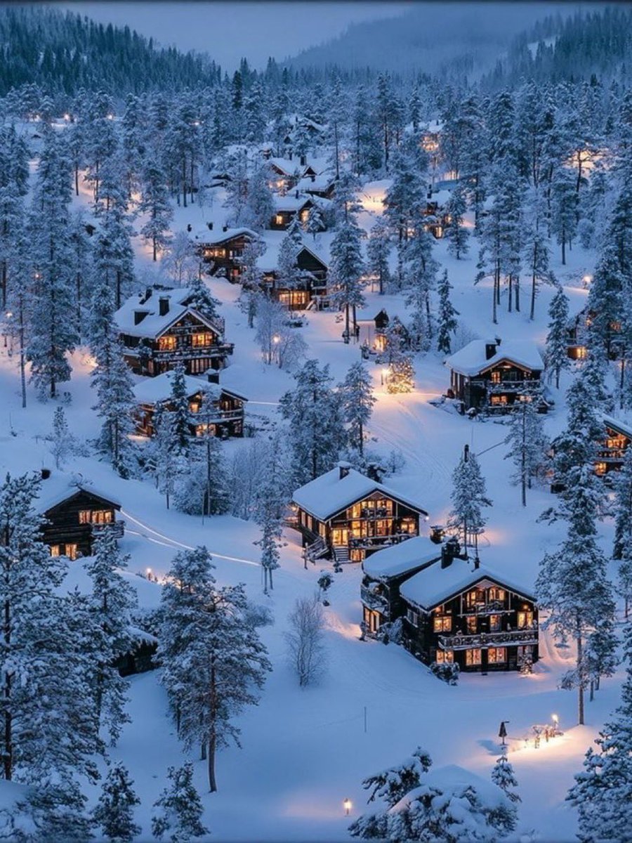 siradisifoto's tweet photo. Norveç’te Kış ❄️ https://t.co/Kz4ay3rk9l