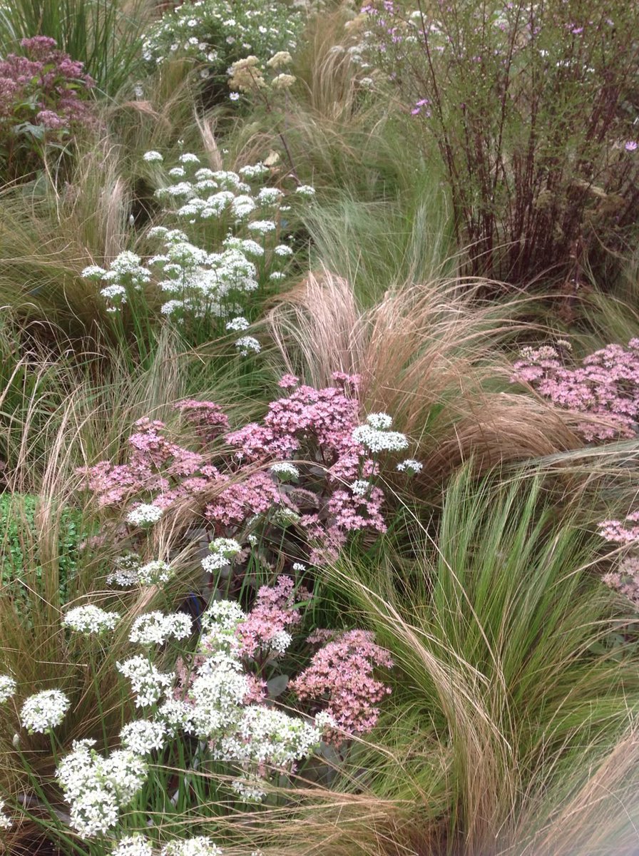 seraphicxc's tweet image. 