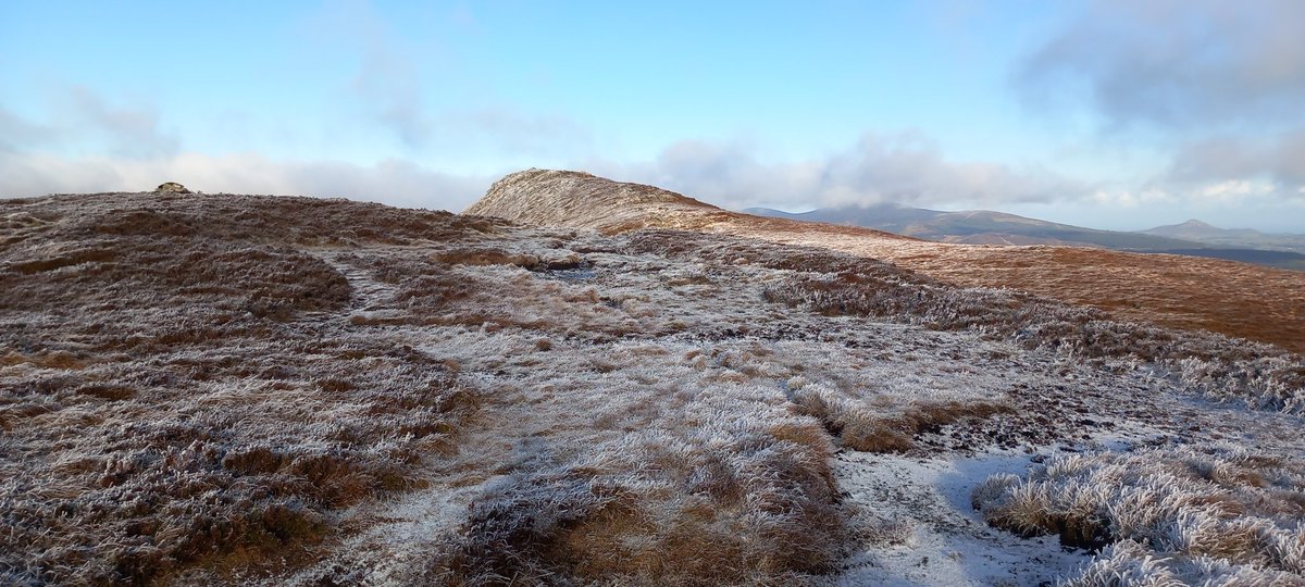 Mayne Walone tweet media