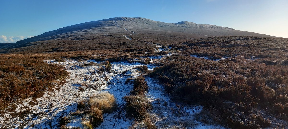 Mayne Walone tweet media