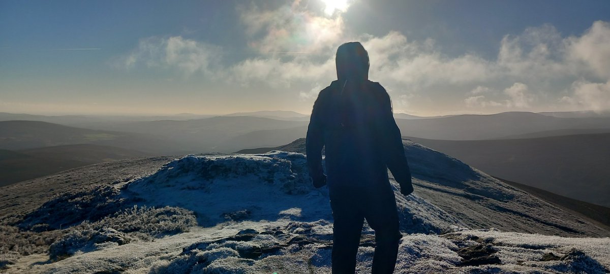 Mayne Walone tweet media