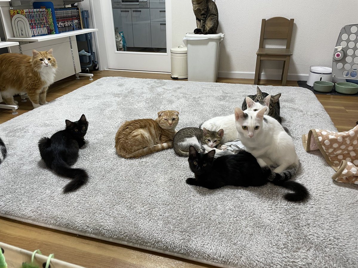 ブゥ(みー) (@16ku4jnxsipVtj3) / Posts / X