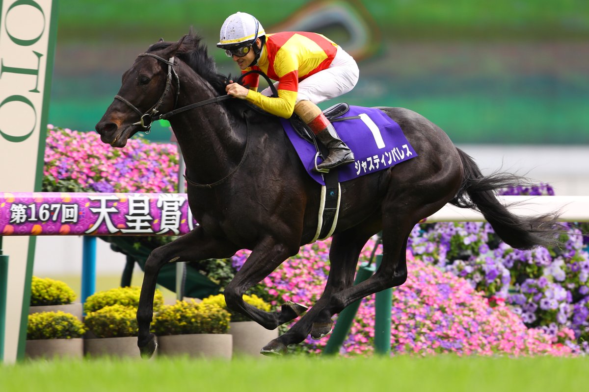 ボブ (@64SaB9rMszS3361) / Posts / X