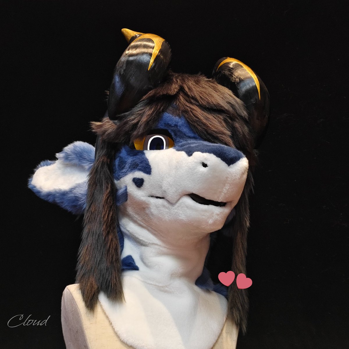 很有压迫力的照片
#fursuit #fursuitmaker