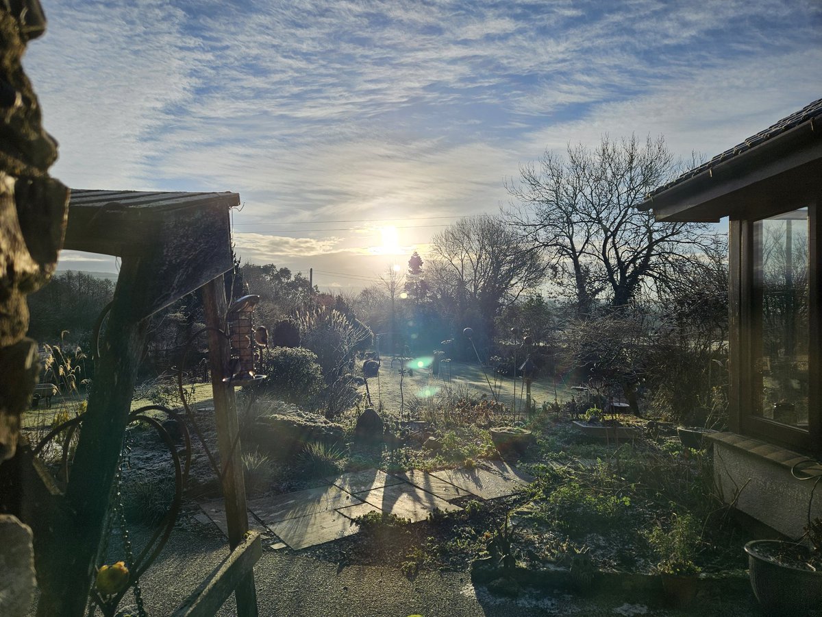 🌿Helen Brown tweet media