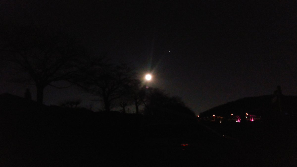 良い月夜だ( ´-ω-)