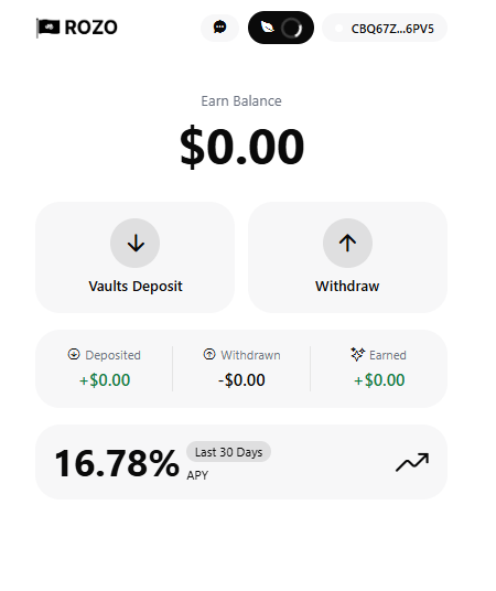Here's My Rozo wallet ! , my first step towards using the the Visa for stablecoins. 💳⚡️