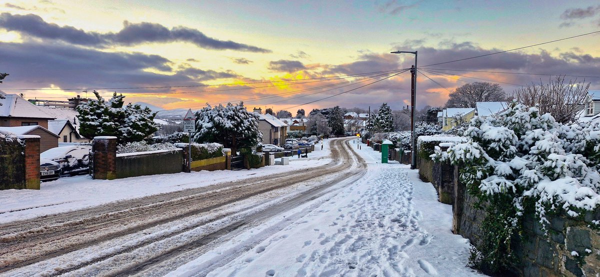 BleddynJones-Pearson tweet media