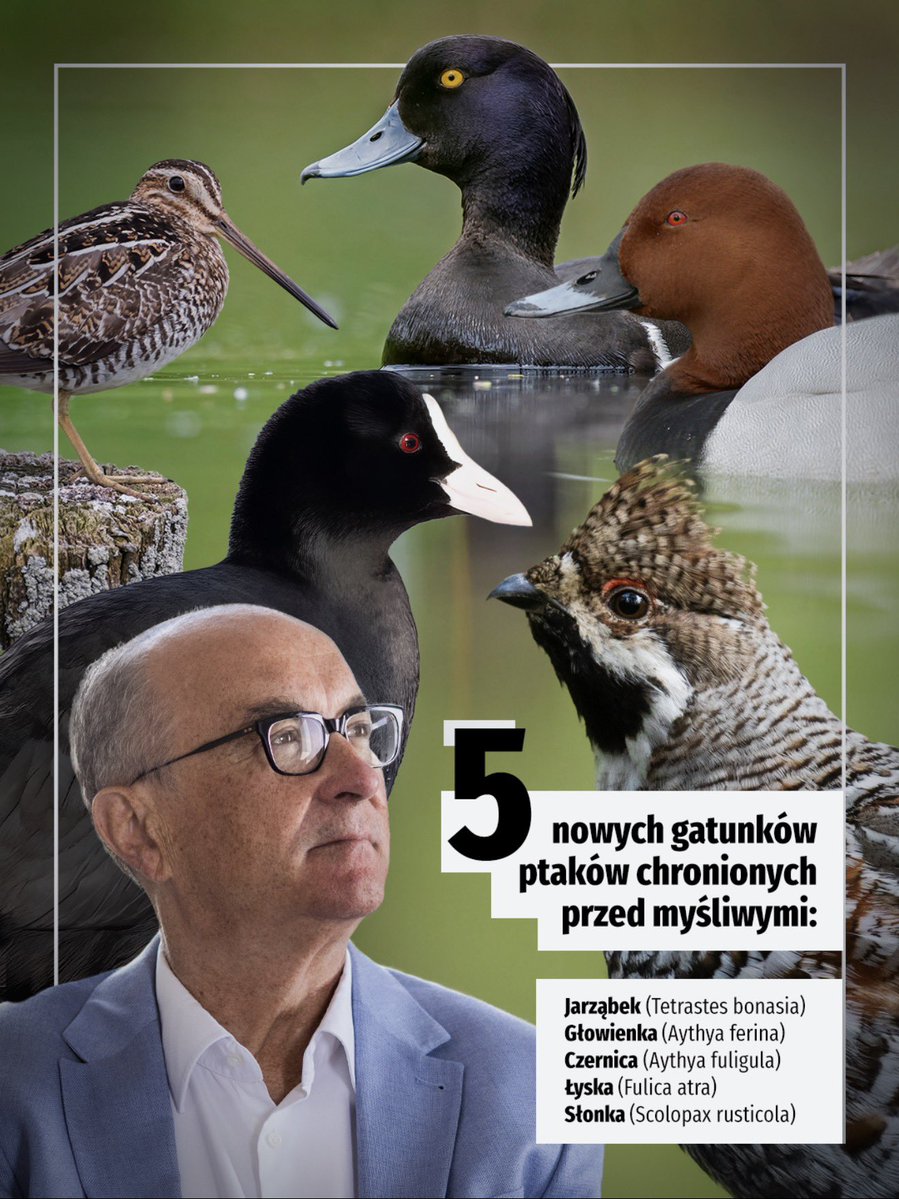 Wszystkie ładne. Wszystkie fajne. One już wiedzą, że od dziś żaden myśliwy ich nie zabije. Są szczęśliwe. Gadałem z nimi❤️