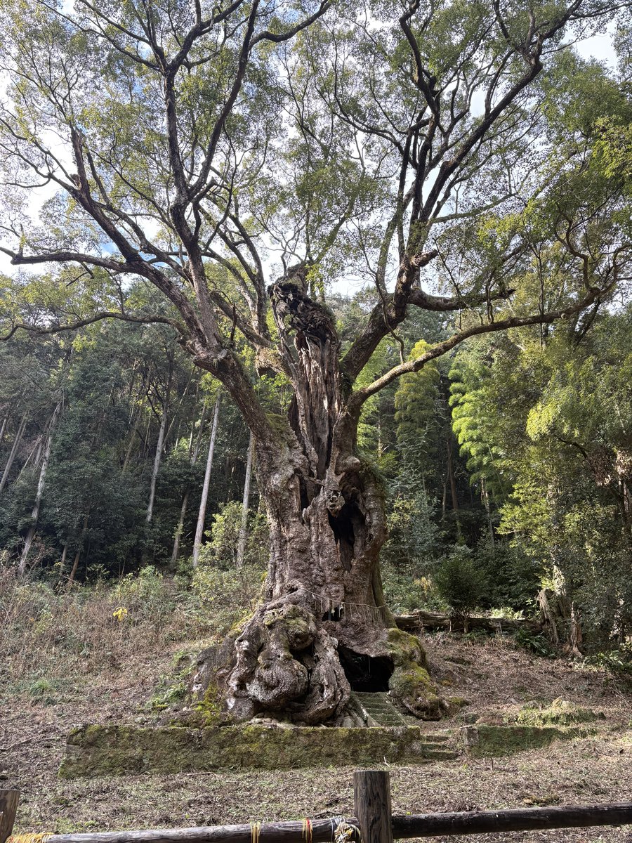 Bachikuso8181's tweet photo. 年末年始県外行ってないし1000キロ走ってない
東京からのw126カッコよすぎた🤤
特段なんてしてない休みも最高やった
あ、武雄は佐賀やった県外でとる笑 https://t.co/FVbINetYQ6