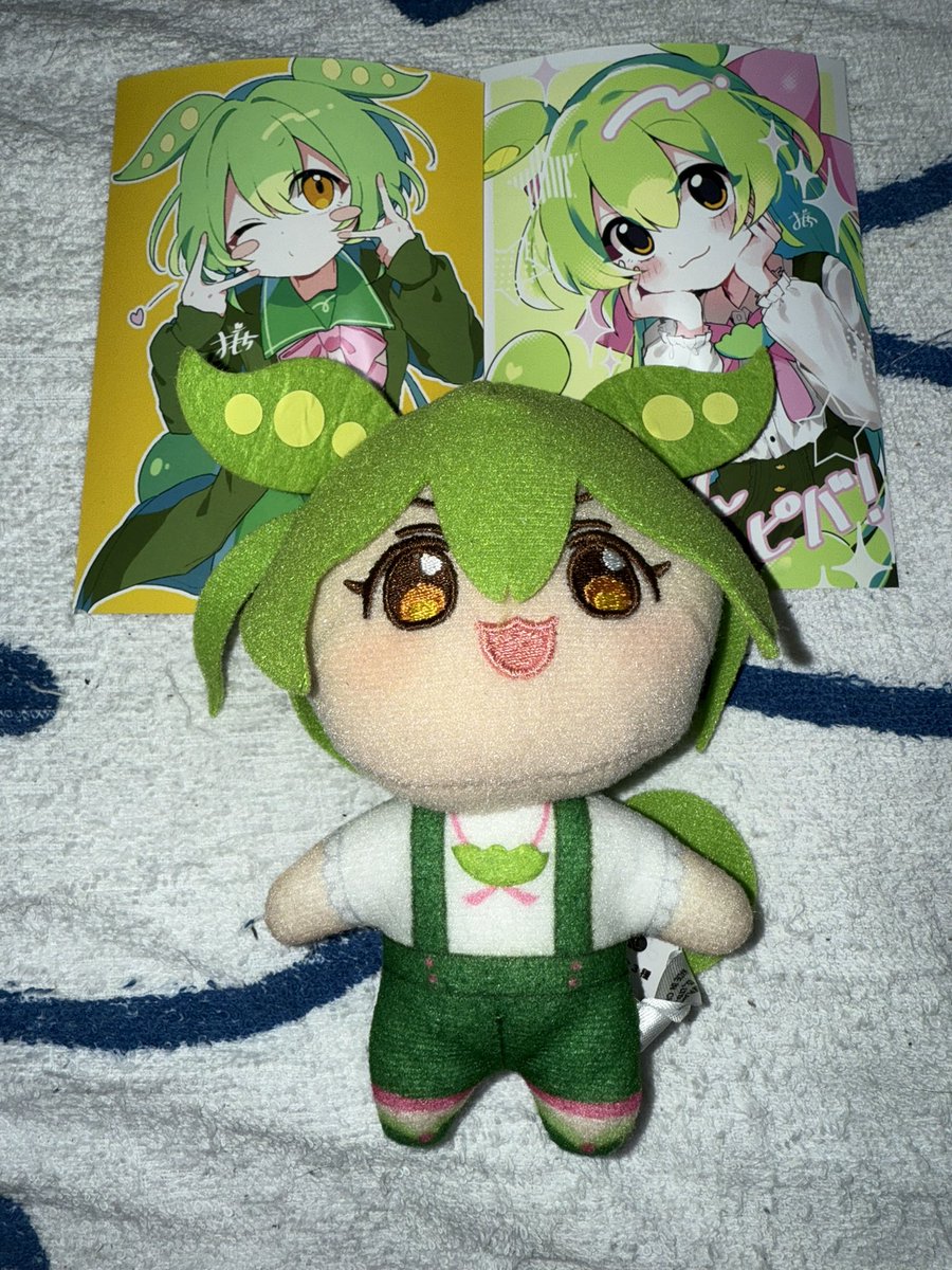 プリントしてきたのだ！！ かわいい˃ 𖥦 ˂ #ずんだもん