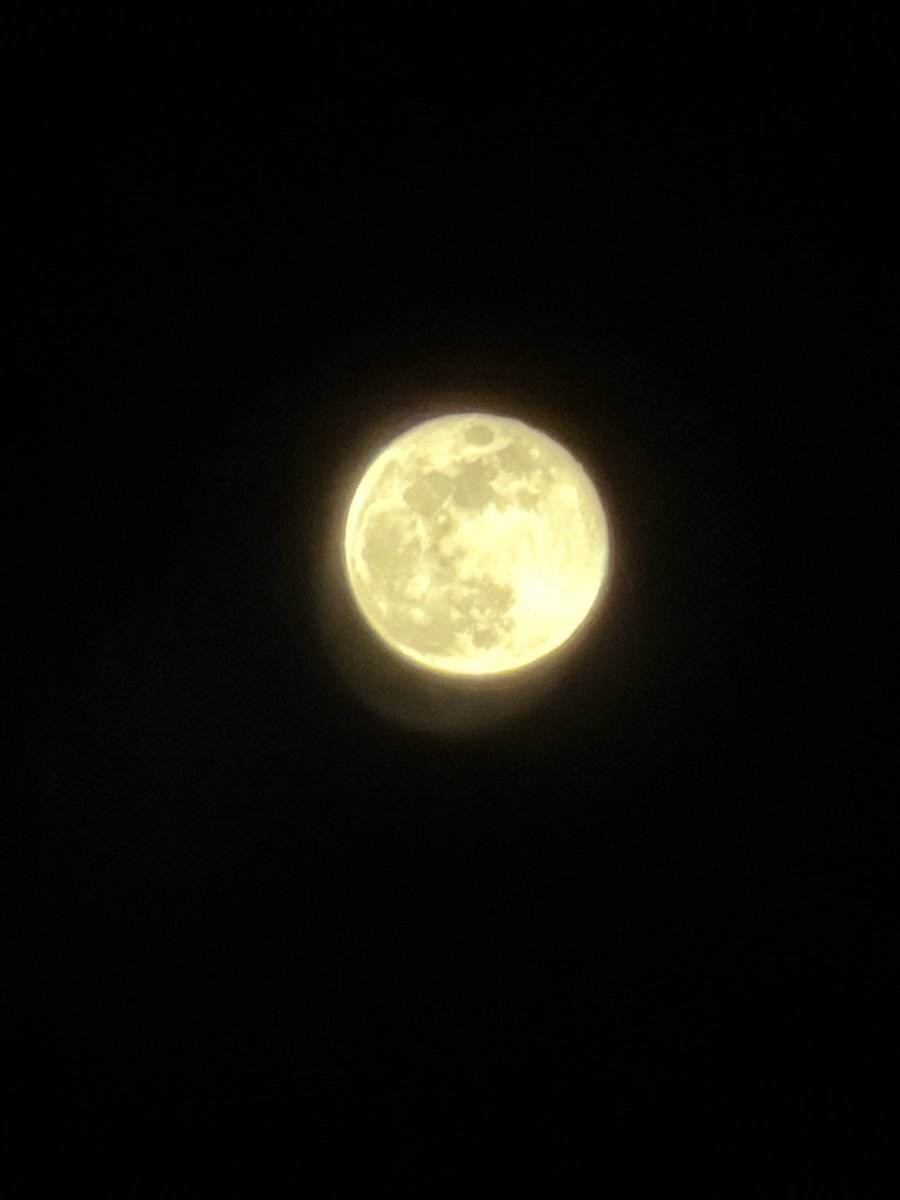 お月様が大きい日だった🌕 2026年1月5日の月は、2026年で最も地球に