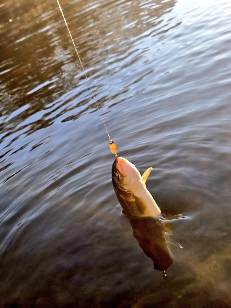 ムンクレ (@oogishima) / Posts / X