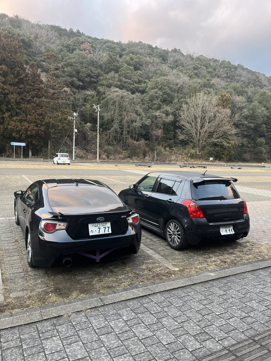 野生のヌポーシがすれ違ったと思ったらUターンしてきた