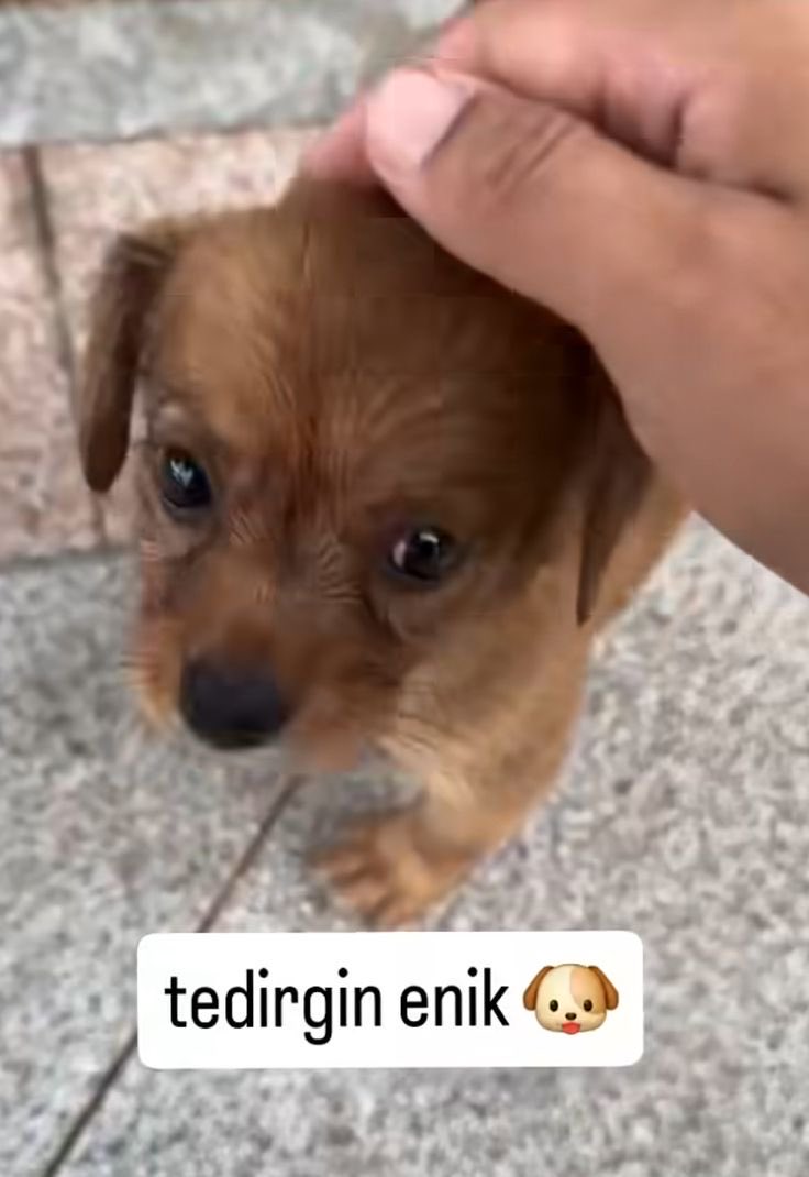 ne kadar calisirsam calisayim yetersiz hissediyorum