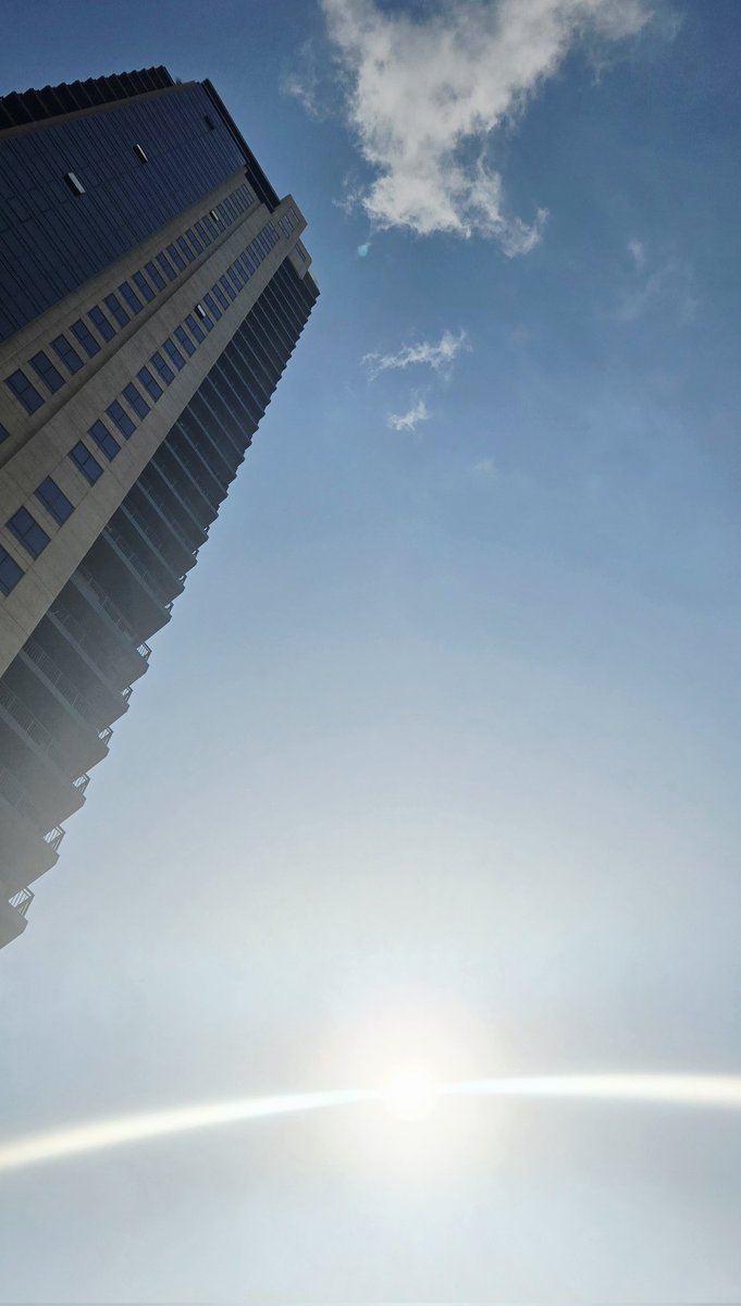 MarioKB's tweet image. 暖かいところに帰ってきました ☀️