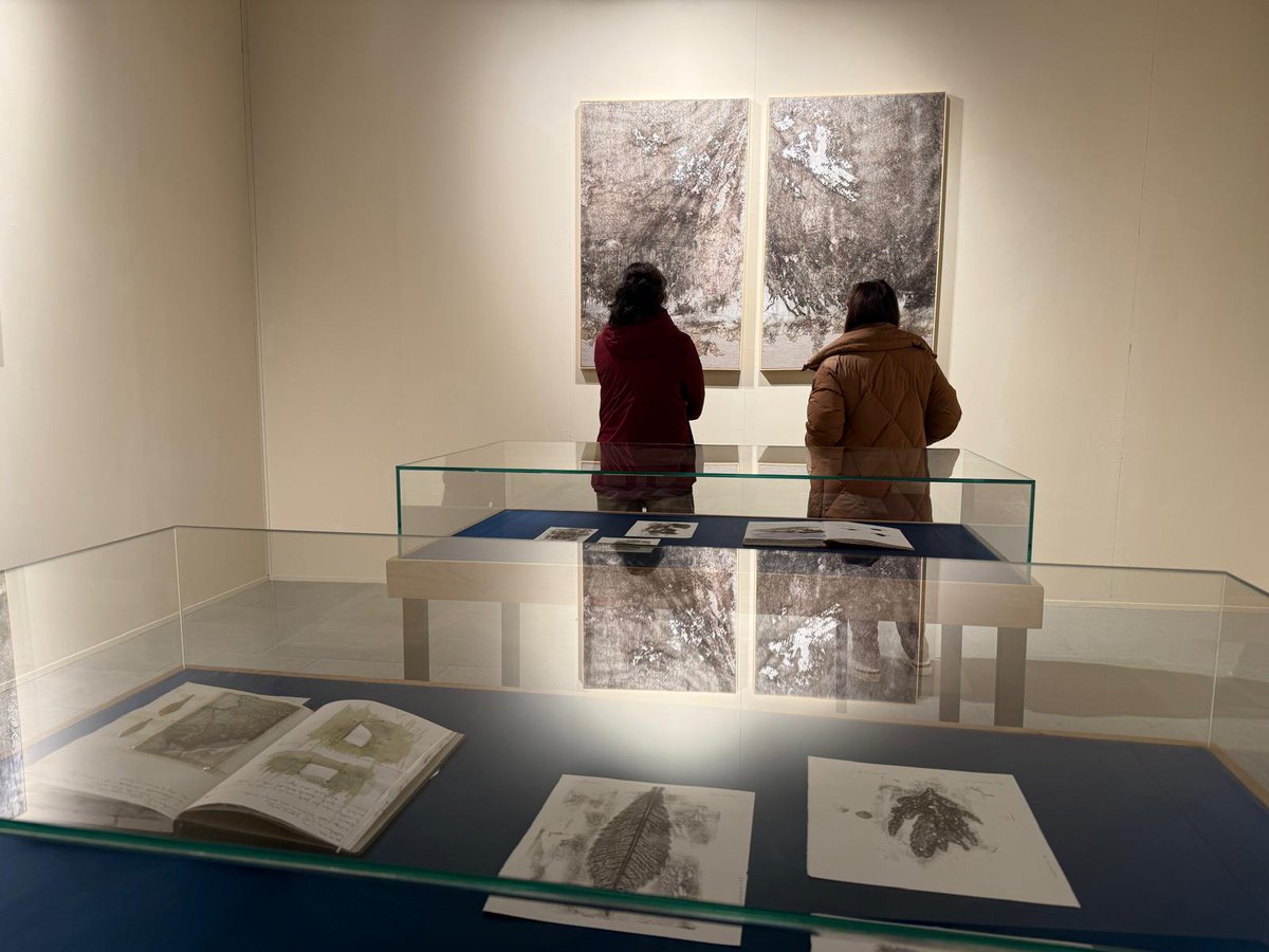 VisitTuscanyITA's tweet photo. Quando la natura del #Casentino e l’arte si incontrano, si creano “Paesaggi assoluti”.
Questo è il titolo della mostra dell’artista Roberto Ghezzi che porta, fino al 31 maggio 2026, nel castello di #Poppi, l’arte delle #foreste, patrimonio dell’umanità.
https://t.co/GJaUkFjIVI https://t.co/bGJQmGziup