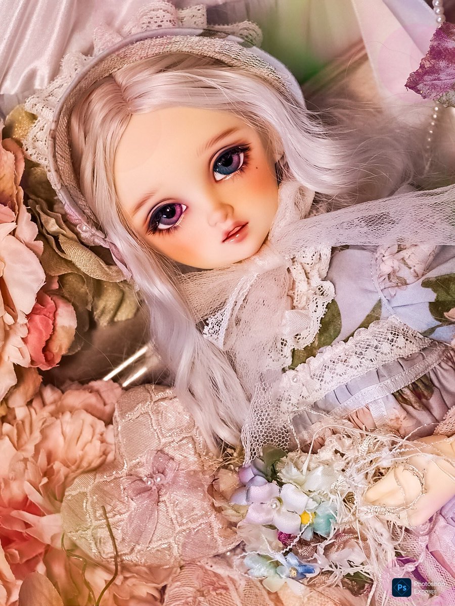 新年のご挨拶は
昨年のドルパでご縁をいただいた品々を使わせていただきました💖
👗 #frou_clothes
👀 #アイカマル