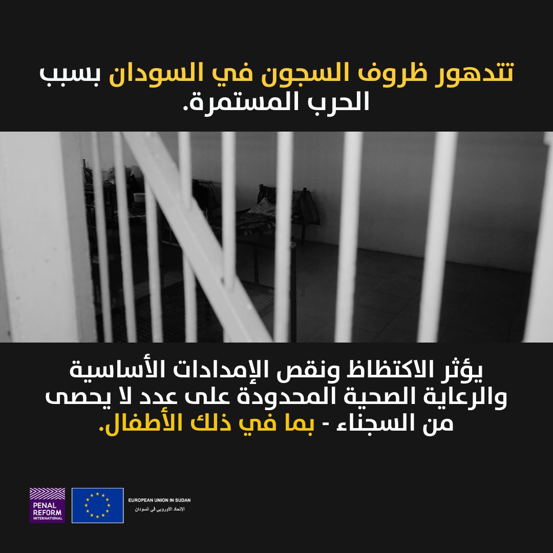 European Union In Sudan tweet media