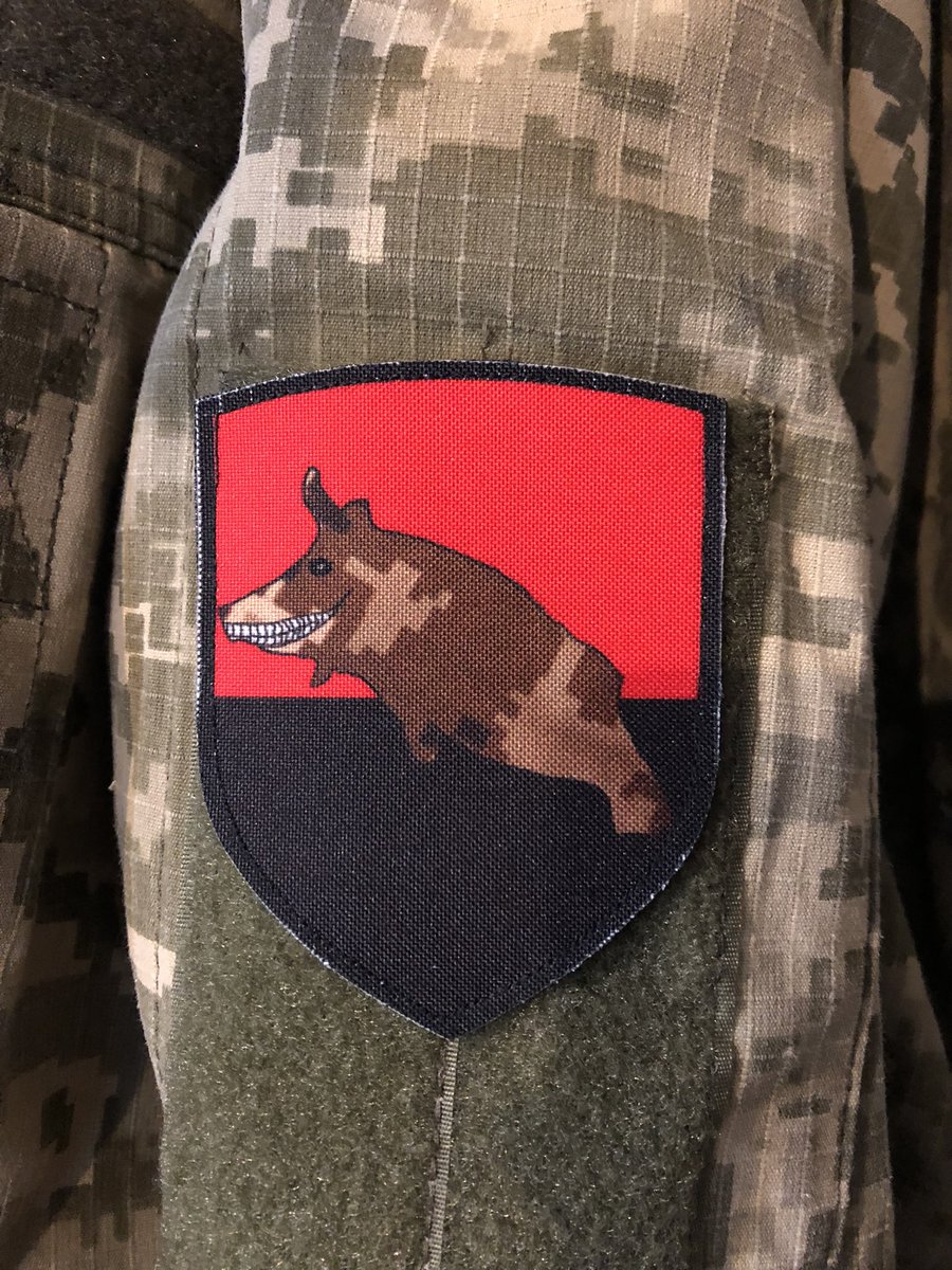 Schwein Karausche (@urschweinkaraus) on Twitter photo 