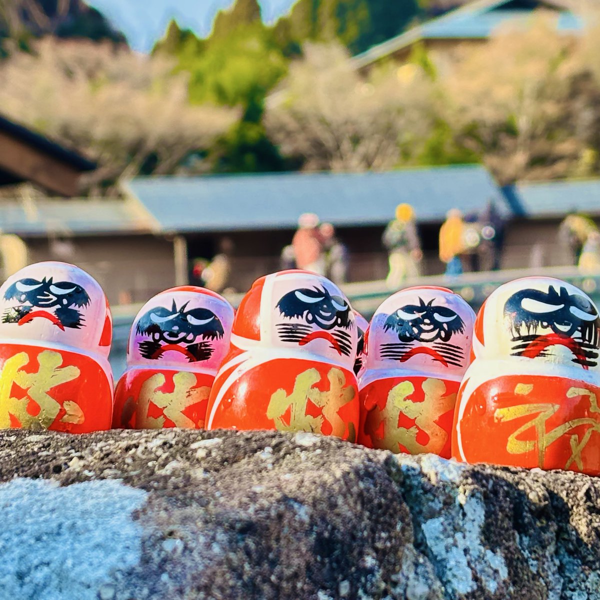 蘭丸1号機 (@shinsakan) / Posts / X