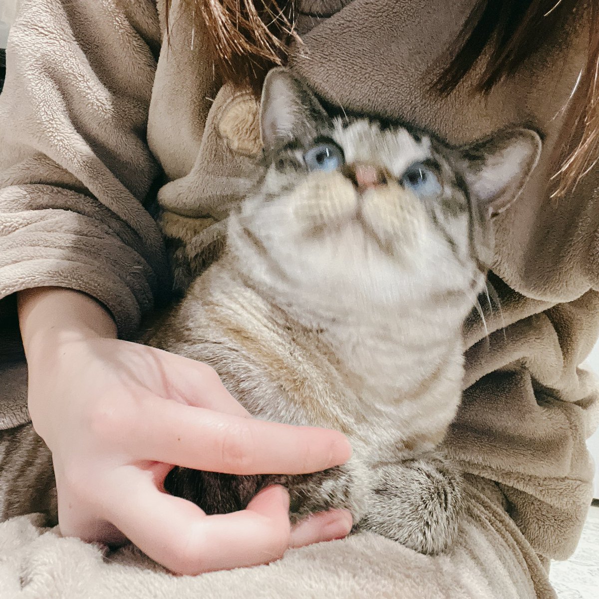 とっとこﾓﾆｬ太郎 (@monet___1213) / Posts / X