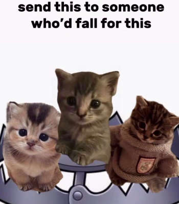 𝙛𝙖𝙬𝙘𝙖𝙣 tweet media