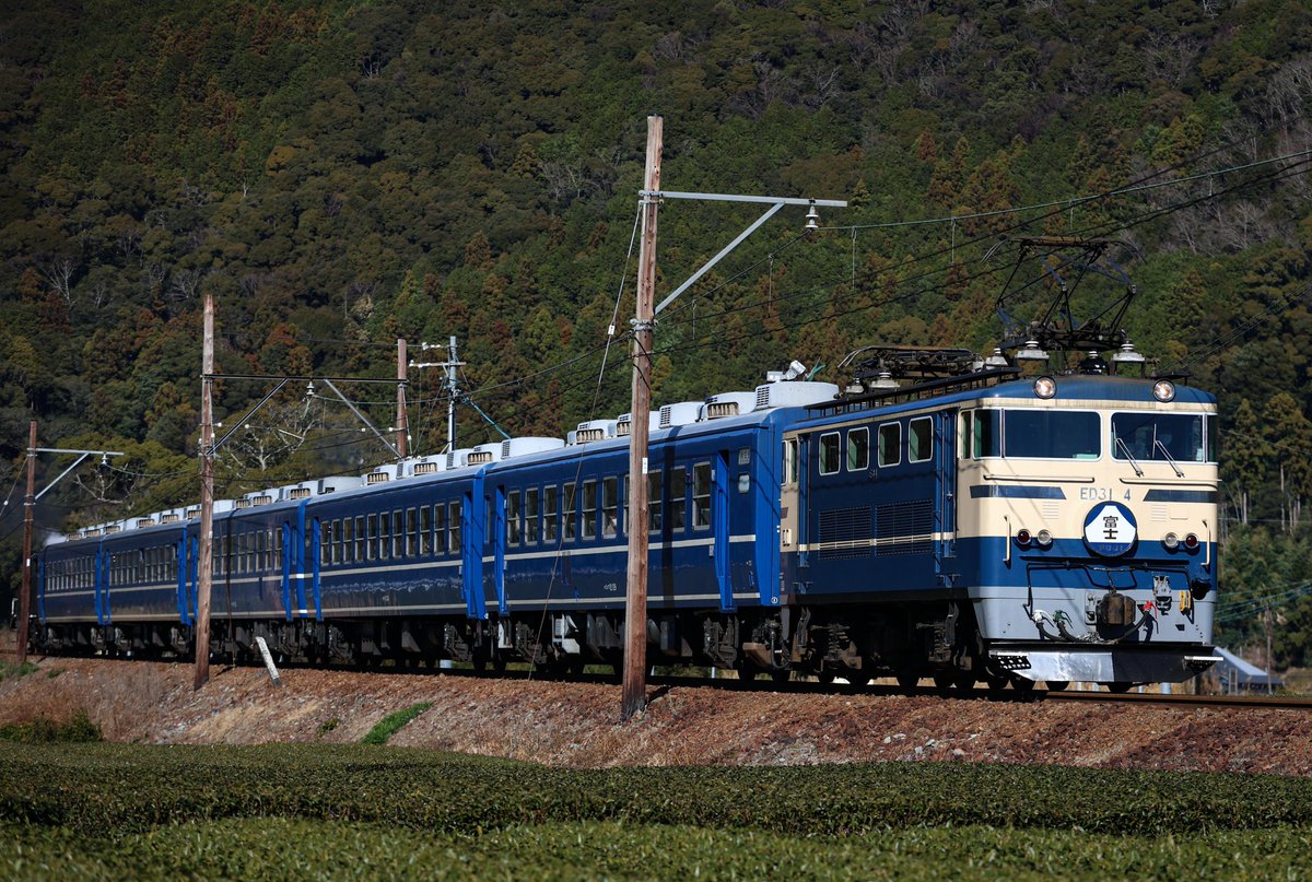 うめちゃん (@t7XUrkaYgvlSBPE) / Posts / X