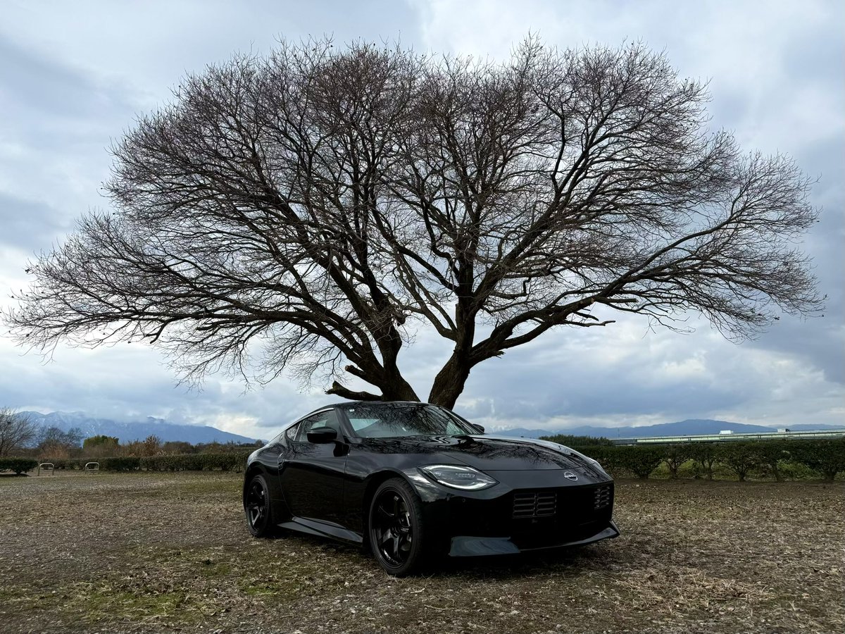 Midnight6 まとめ売り ネイジーンエボリューション4点セット エクストラパック 第53弾 BLACK