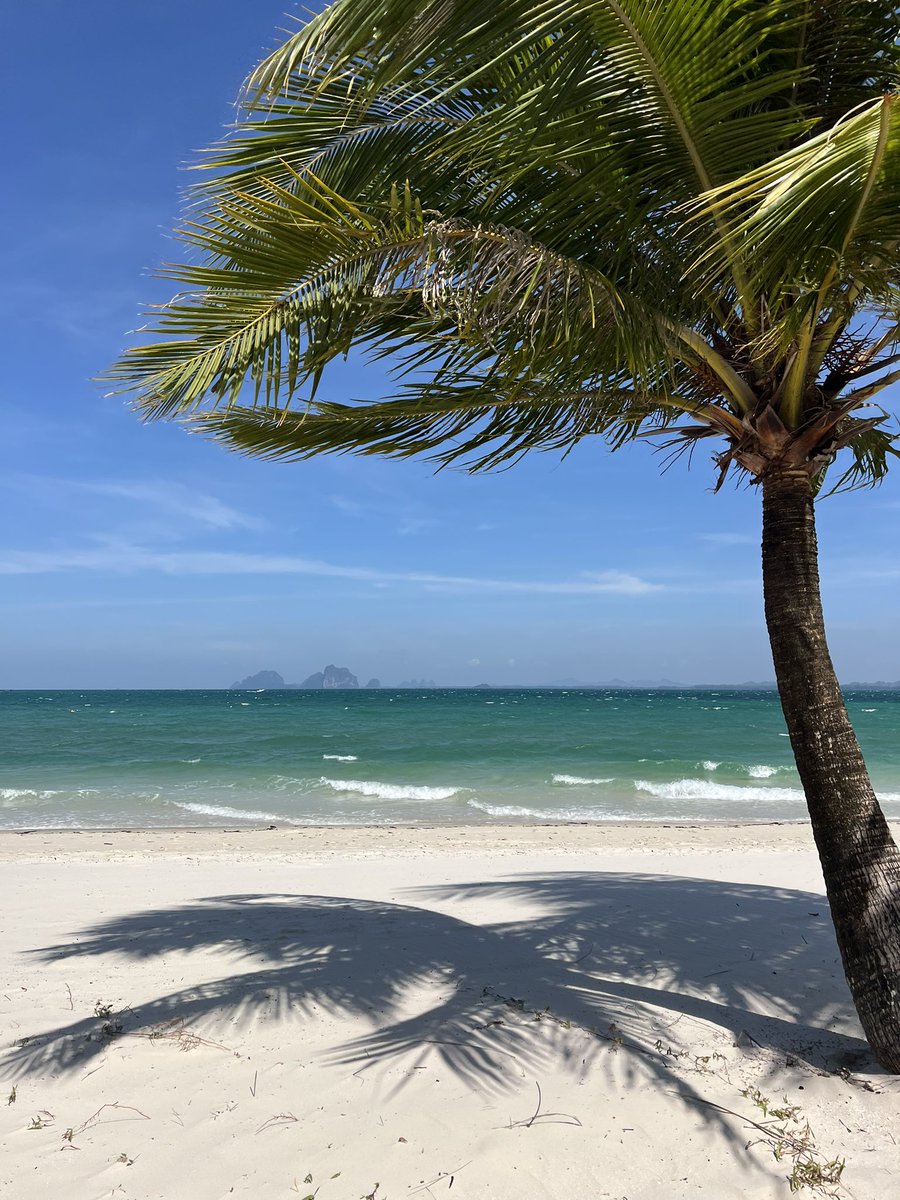 Bieordinary22's tweet image. เกาะมุก เกาะโปรดในดวงใจ วันนี้ลมแรงมาก(ฝั่งท่าเรือ) แต่น้ำก็ยังใสอยู่ ทรายละเอียดแบบเดินละมันเอี๊ยดๆตอนเดิน เฮ้อ สวย สวย สวย คนตรังน่ารัก นั่งเรือไม่นาน อาหารอร่อย มาเที่ยวตรังกันจ้า