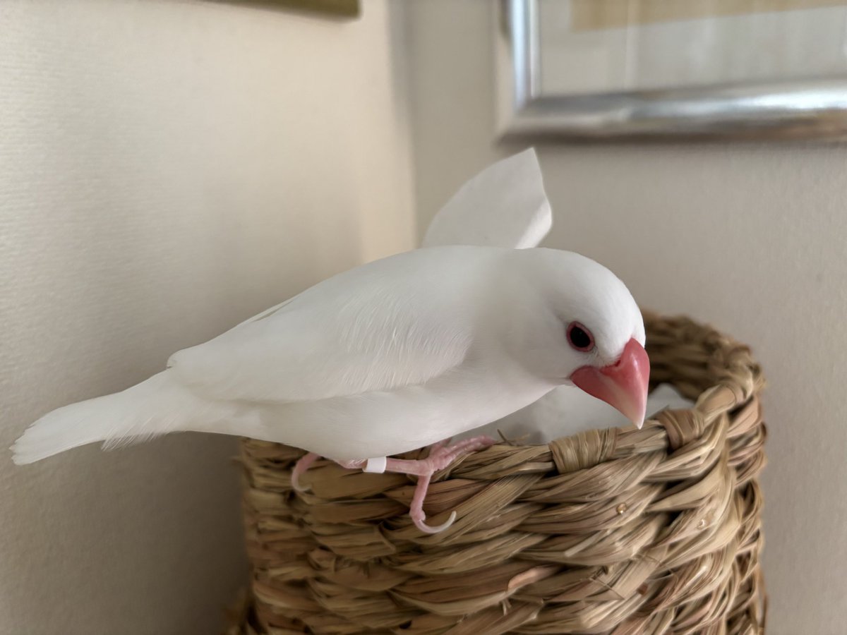 空太郎 (@3jZy2RyfgDg59MZ) / Posts / X