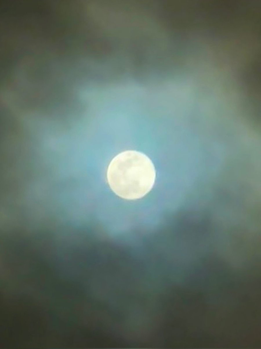 mrurata's tweet image. I heard today is the first full moon of 2026 🌕 and it really looks like there’s a rabbit on it~ hehe 🐇