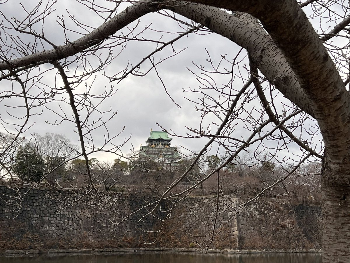 Rei (@rei__2nd) / Posts / X