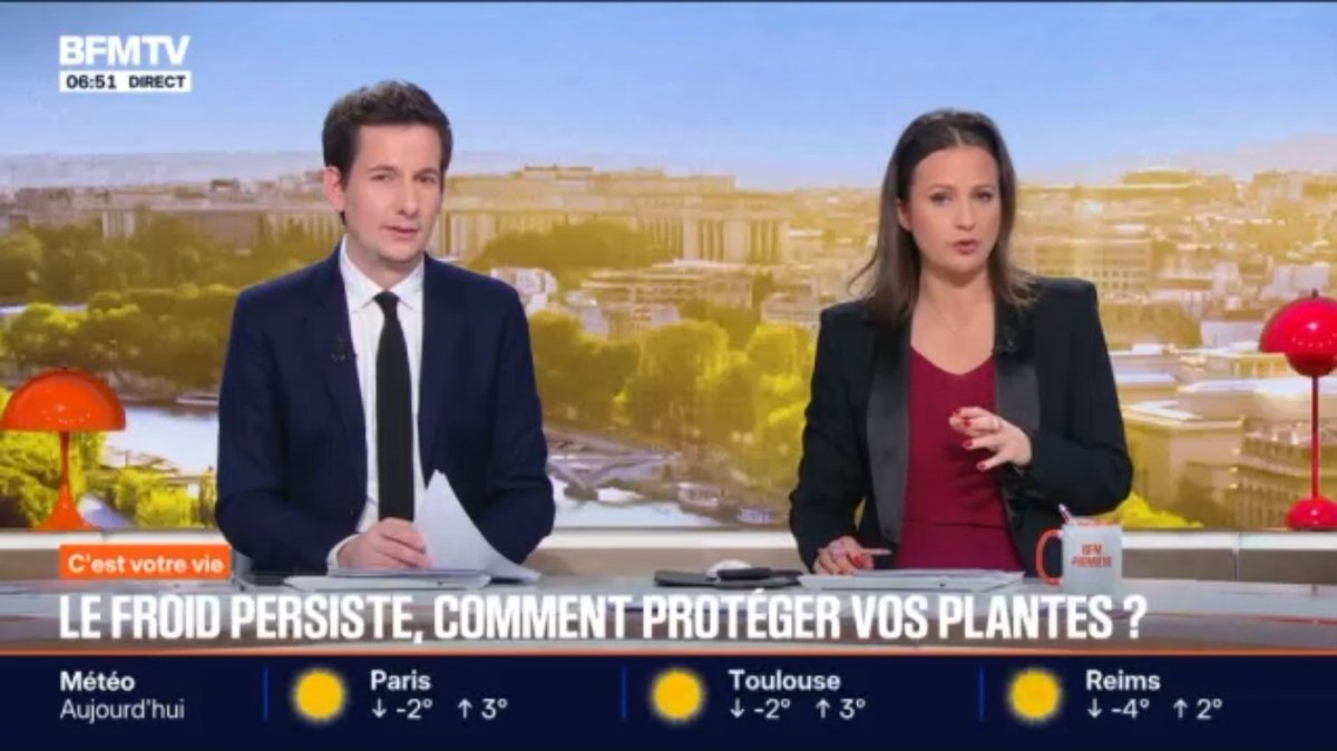 Haddad, la star des médias, transports et Twitch tweet media