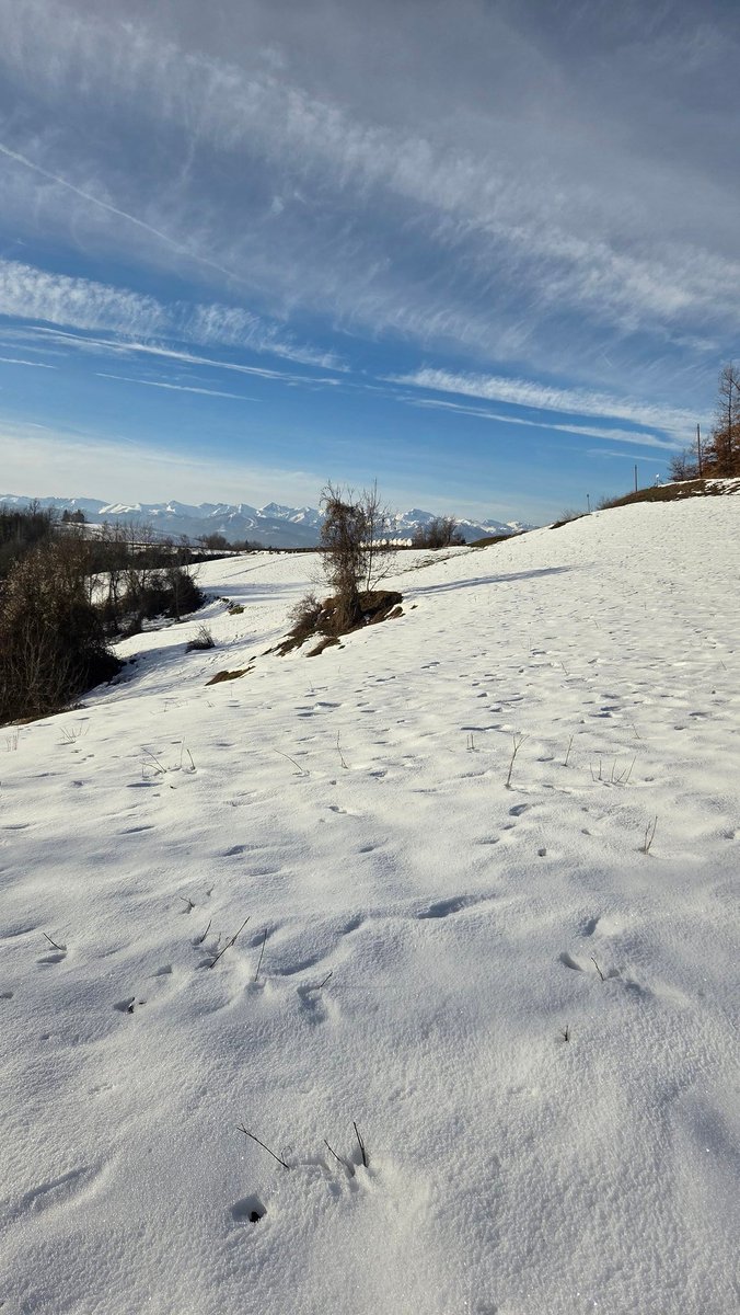 CappatoSimo's tweet image. Buongiorno, felice e serena Domenica a tutti.☺️☕️🥐🥨🧇🎄🎊🎆